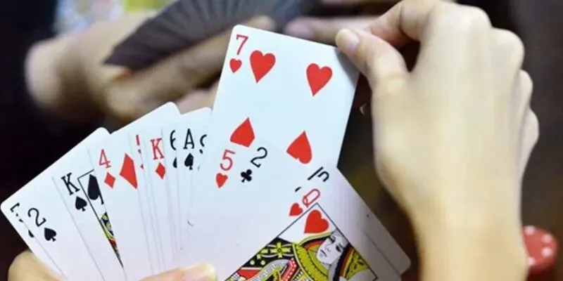 cac-bo-bai-can-nam-vung